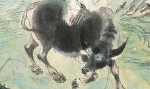 做人从不虚伪，做事端端正正的3生肖，只做真君子，发财也不难