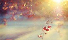 【风水】：家里风水好不好，只看这一个地方！