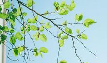 思维定性，容易被人误解的三大星座，请努力打破偏见