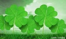 算命师预言，10月过后，有意外喜讯传来的三大生肖