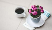 看人超准的3大生肖女，遇事很理智，一般人都骗不了