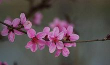 未来7天惊喜不断，好运傍身，事业一飞冲天，腰缠万贯的3大生肖