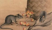 玄清风水命理/文十二生肖运势2019年10月19日生肖运势