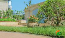 考虑庭院风水布局时，需注意什么？