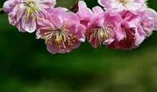 10月下旬财库大开，财气滚滚进家门的生肖，以后日子幸福又快乐