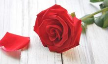 11月底金钱运绕身边，挣钱轻松，生活愈发美满的4生肖