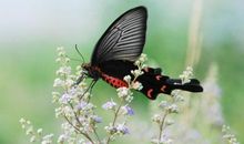 未来一周，4属相顺风顺水，添丁添喜又添福，日子越过越滋润