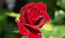 有钱花不完！未来三个月喜遇贵人，4生肖财势火旺，安享福中福！