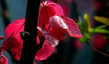 未来五个月吉星降临，不缺横财运，生活迈入新台阶的四属相