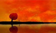 如何利用风水催财