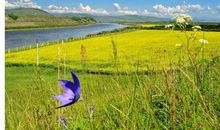 10月下旬中，用麻袋装大钱，3生肖天上掉财、地上生金，双喜临门日子美