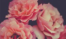 风度翩翩，面对女生有修养的星座男，一直很迁就对方