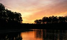 未来5天，打工能升官，生意定兴隆，前景大好的四大生肖