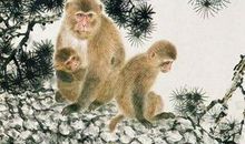 这四个生肖，最近转运有佛祖保佑，年底有几笔横财要发！