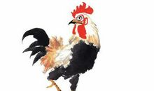 11月喜鹊高歌，财星闪烁，求财得财，富贵有余的四生肖