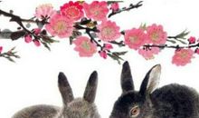 夫唱妇随，如同戏水鸳鸯一般恩爱，形影不离的生肖夫妻