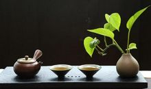 关于水产公司起名的技巧有哪些 一些特别的关键词是禁忌