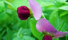 财运提升，求财顺利，赚得钱财堆满山的生肖，2020年注定发达