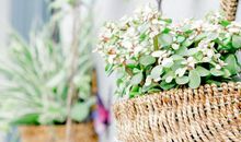 这三大生肖的孩子，一生忠孝两全，财源广进