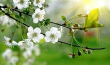 越是心情不好越是会用微笑掩饰的3生肖，不愿意让人安慰