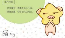 属猪女和什么配最合适 羊虎兔最好