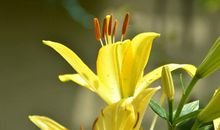 下周开始财运降临，有横财大运来袭，发横财，赚大钱的四属相