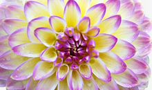 4属相明年运势超旺，财神送来无限大财，喜运连绵，财运旺盛如火