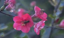 有钱就开始大手大脚开销的3生肖男，不懂省钱，更没有存钱意识