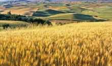 11月1号开始，有“天德”吉星照耀，连旺一整年的四大生肖