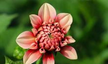 爱甩脸色给老婆看的3大生肖男，不满意就冷战，总嫌弃老婆