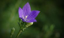 8月下旬命宫吉星庇佑，好运连连，流年利好，钱财大赚的3大生肖