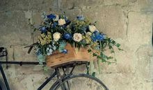 十二星座详细运势 （10月26日~11月1日）本周红榜：金牛座、白羊座、水瓶座