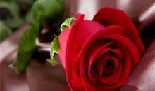 爱上水瓶座，做好这3件事，让他死心塌地的爱你