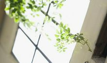 夫妻俩中有这三大生肖，必能子女双全，家业昌盛