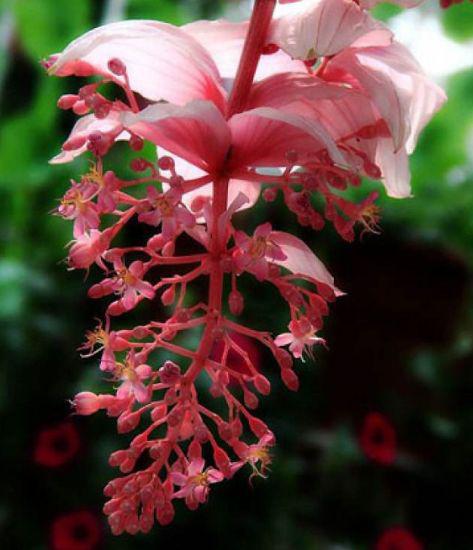 11月上旬横财旺，钱进账，喜事进家门，生活甜如蜜的生肖 1