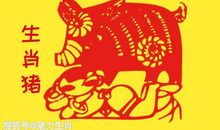 恭喜四生肖萦绕不缺钱，10月20号开始一定收获满满，红红火火一整年!