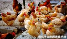 会“钱生钱”，财神庇佑，好运爆棚，享受富贵多金的生肖