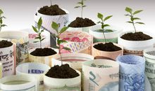 财神重点关照：11月初足“踏”聚宝盆，大富特富不差钱的三生肖