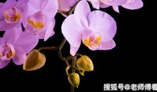 财运将要如虎添翼！3生肖，在11月份，财运上涨，财富享不尽