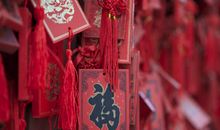 横财运上佳的三属相，11月上旬，运势蹭蹭涨，大吉大利数钱忙