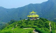 晚年生活最安稳的3个生肖，子女有福个个孝，生活富裕日子好