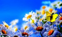 熬到11月，足“踏”聚宝盆，横财大旺，翻身做有钱人的3属相