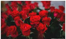 此4生肖好运常伴随，贵人在身边，发展一帆风顺！