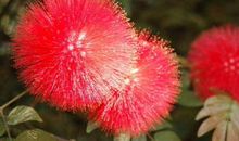 万事具备，东风不欠的生肖，11月之后人生大吉，名利财富双丰收