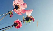 从不朝三暮四的4大生肖男，老婆放第一位，主动跟异性撇清关系