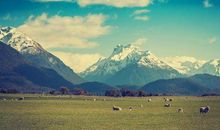 8月23日开始，不愁吃喝，不愁财运，不愁大官，不愁爱情3生肖