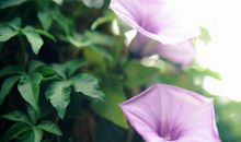 10月下旬，贵人找上门，走大运发大财，3生肖苦尽甘来