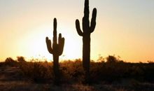 最爱干净的4大生肖女，家里一旦乱糟糟就不不自在，有你吗？