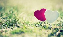 两口子有这三大生肖，家运昌盛，儿女双全，全家享受荣华富贵