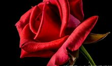 今年下半年福禄加身，财运天降的3大生肖，贵人关照，收入优渥！